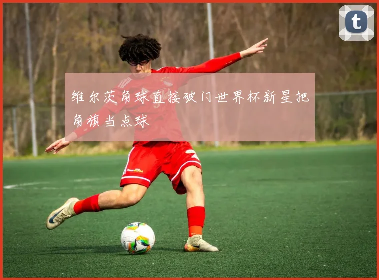 维尔茨角球直接破门世界杯新星把角旗当点球
