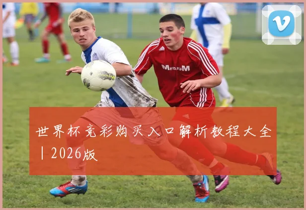 世界杯竞彩购买入口解析教程大全｜2026版