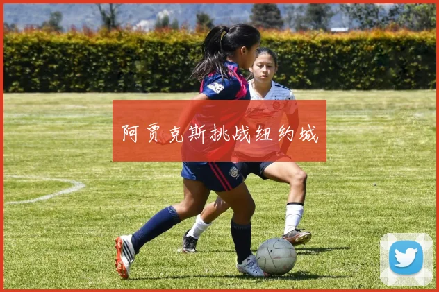 阿贾克斯挑战纽约城