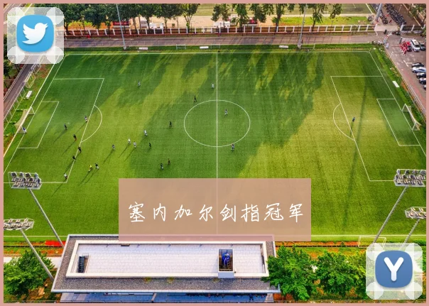 塞内加尔剑指冠军
