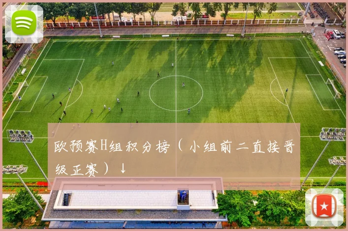 欧预赛H组积分榜（小组前二直接晋级正赛）↓