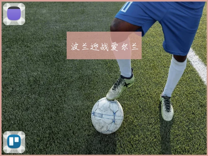 波兰迎战爱尔兰