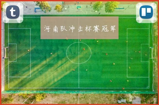 河南队冲击杯赛冠军