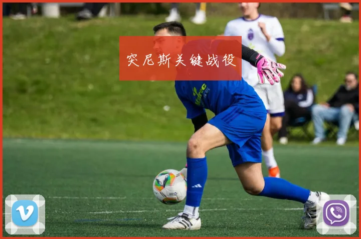 突尼斯关键战役