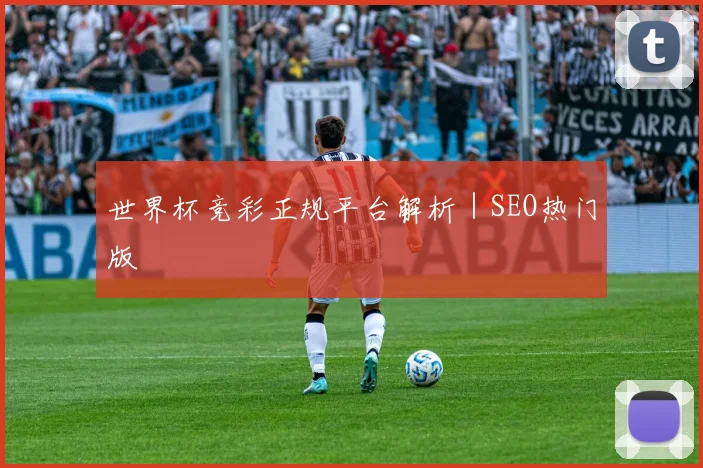 世界杯竞彩正规平台解析｜SEO热门版
