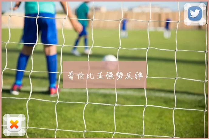哥伦比亚强势反弹