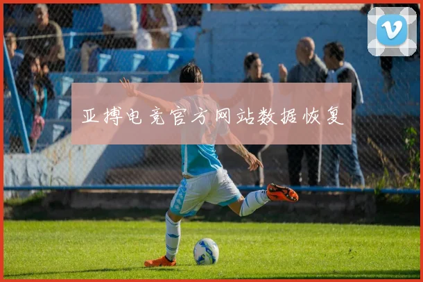 亚搏电竞官方网站数据恢复
