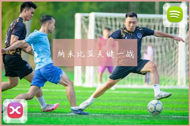 纳米比亚关键一战