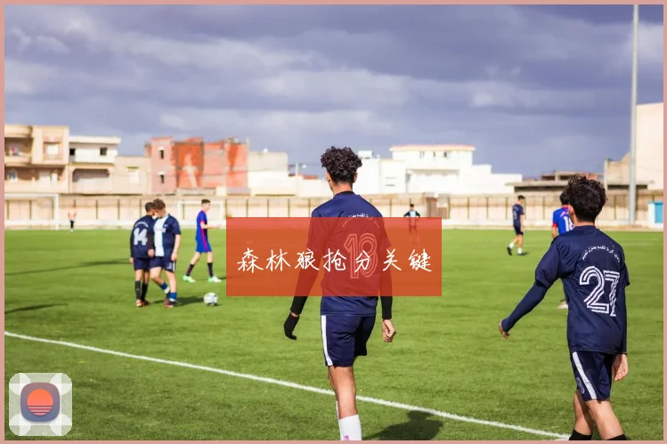 森林狼抢分关键