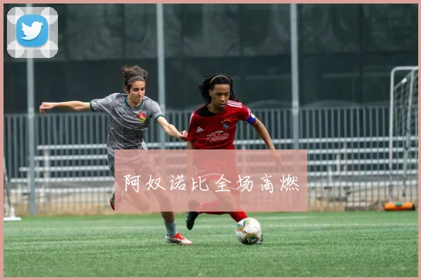 阿奴诺比全场高燃