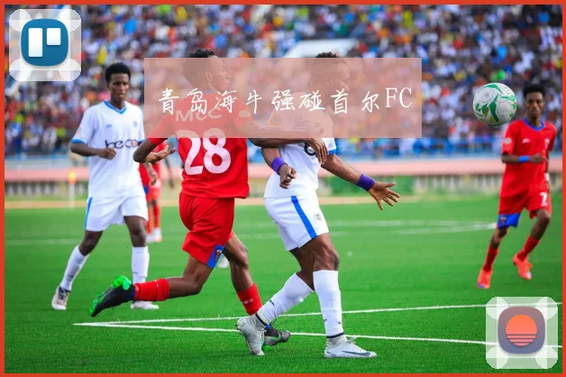 青岛海牛强碰首尔FC