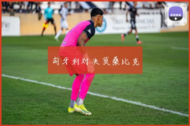 匈牙利对决莫桑比克