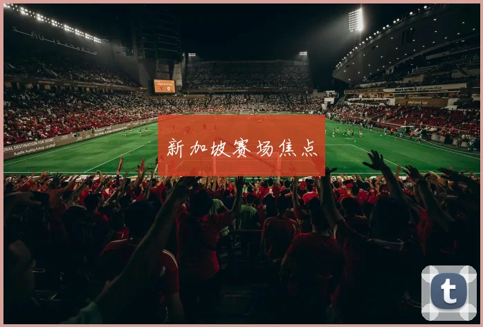 新加坡赛场焦点