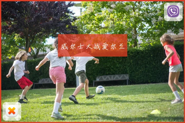 威尔士大战爱尔兰