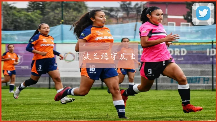波兰稳守反击