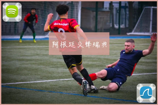 阿根廷交锋瑞典