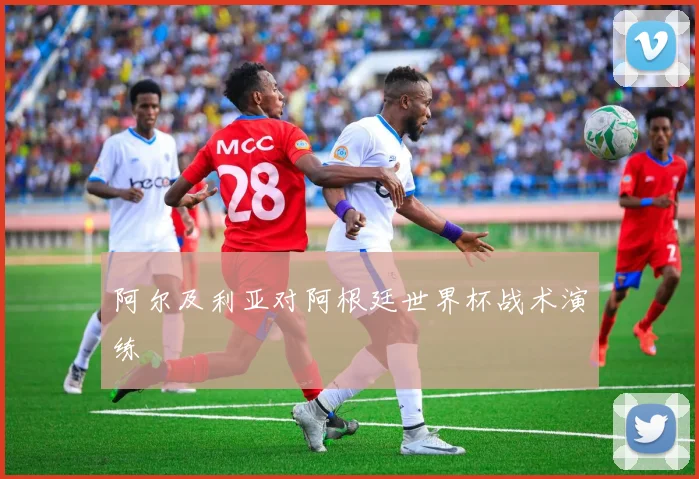阿尔及利亚对阿根廷世界杯战术演练