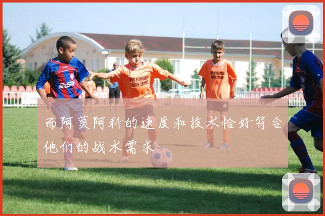 而阿莫阿科的速度和技术恰好符合他们的战术需求