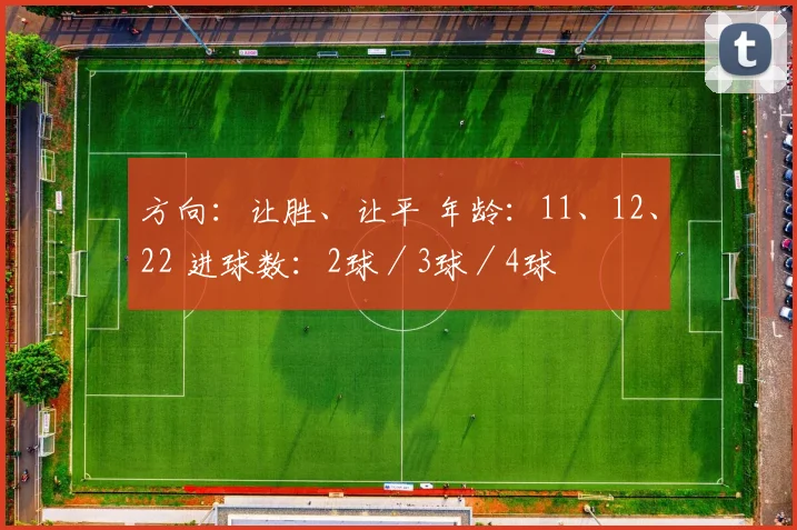 方向：让胜、让平 年龄：11、12、22 进球数：2球／3球／4球