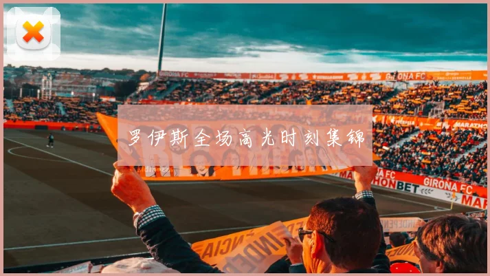 罗伊斯全场高光时刻集锦