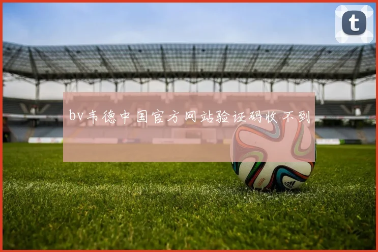 bv韦德中国官方网站验证码收不到