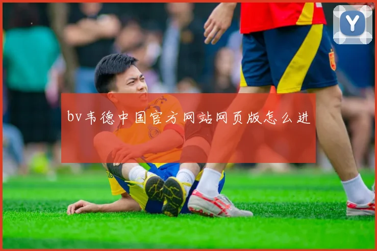 bv韦德中国官方网站网页版怎么进
