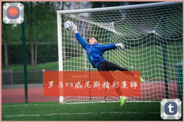 罗马vs威尼斯精彩集锦