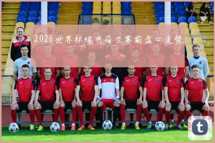 2026世界杯瑞典荷兰赛前盘口走势
