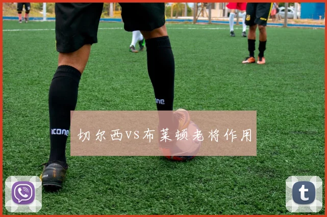 切尔西vs布莱顿老将作用